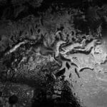 Black and white sandy terrain.
